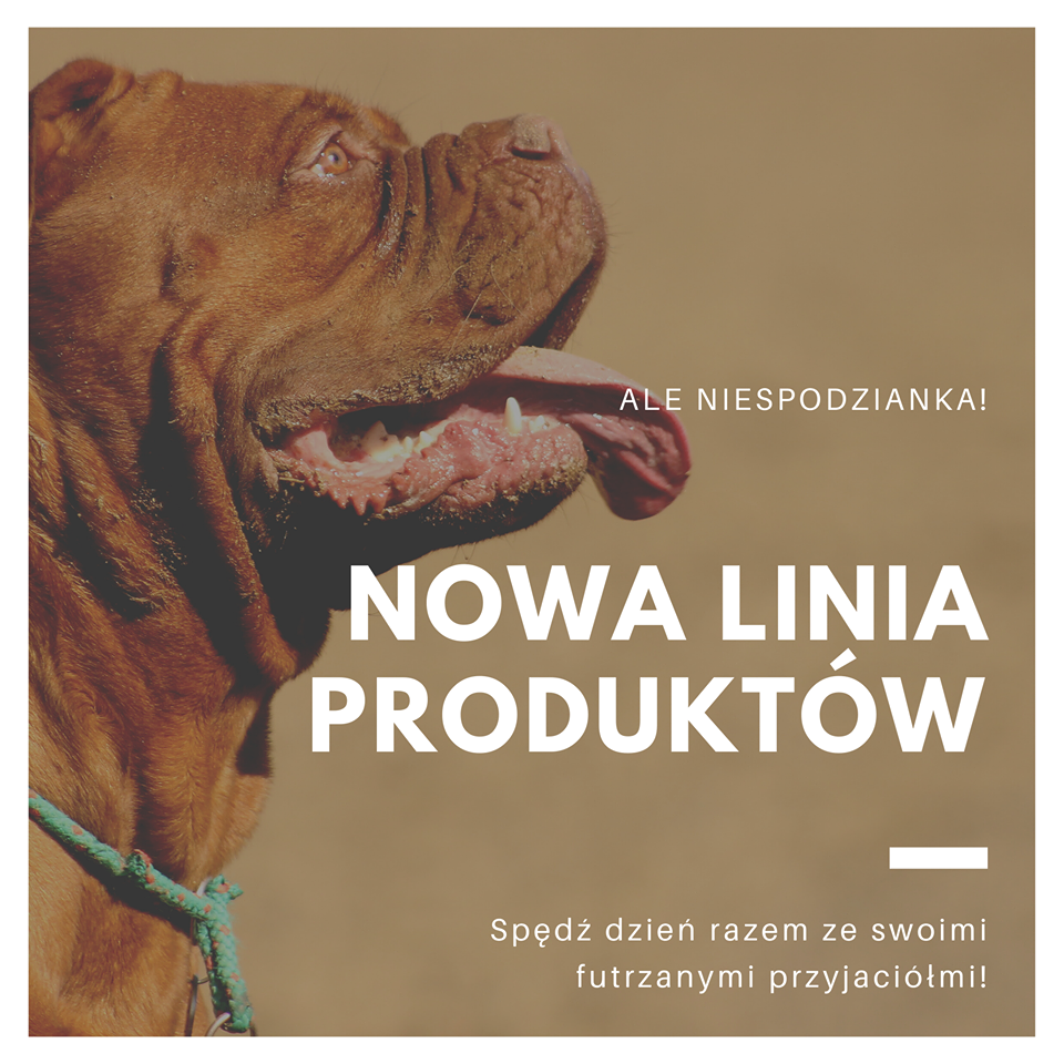 Premiera najnowszej linii produktów dla zwierząt już za kilka dni